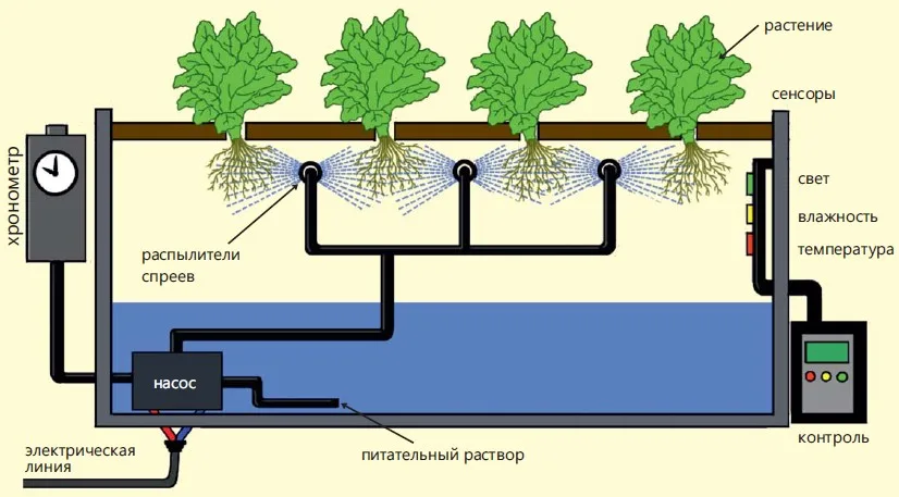 aeroponics